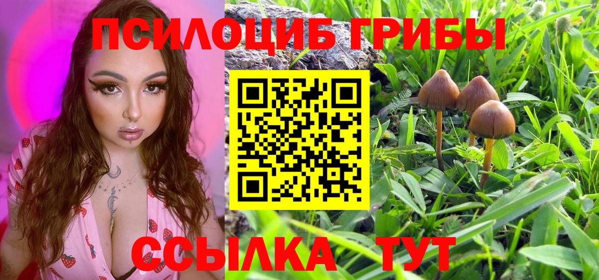 Псилоцибиновые грибы мухоморы  Вход с VPN  Новошахтинск 